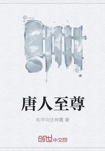 《唐人至尊》小说封面