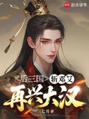 《后三国：斩邓艾，再兴大汉》小说封面