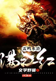 《雷鸣水浒满江红》小说封面
