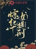 《惊华女提刑》小说封面