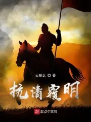 《抗清覆明》小说封面