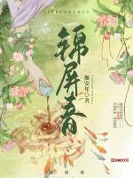《锦屏春》小说封面