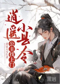 《逍遥小县令:公主找上门》小说封面