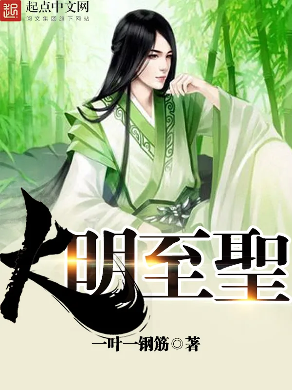 《大明至圣》小说封面