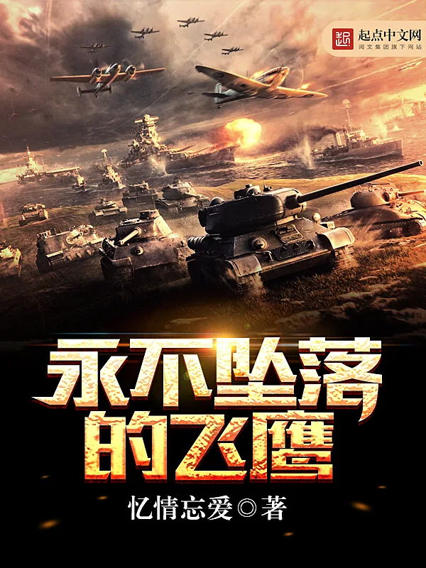 《永不坠落的飞鹰》小说封面