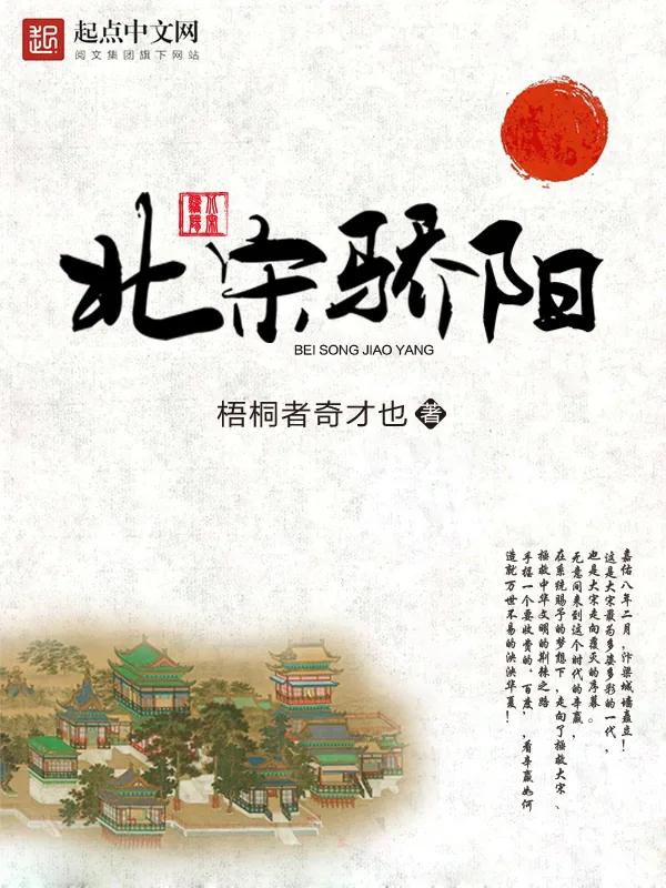 《北宋骄阳》小说封面