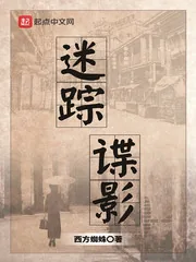 《迷踪谍影》小说封面