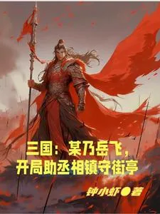 《三国：某乃岳飞，开局助丞相镇守》小说封面