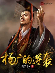 《杨广的逆袭》小说封面