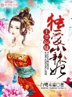 《王爷闷骚：独爱小辣妃》小说封面