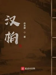 《汉柏》小说封面