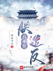 《朕真不想造反》小说封面