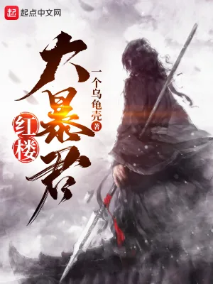 《红楼大暴君》小说封面