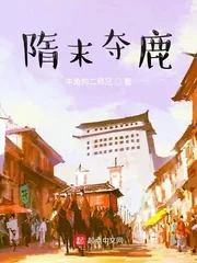 《隋末夺鹿》小说封面