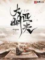 《大明匹夫》小说封面