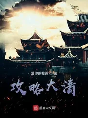 《攻略大清》小说封面