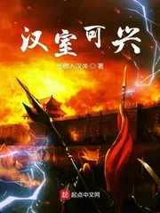 《汉室可兴》小说封面