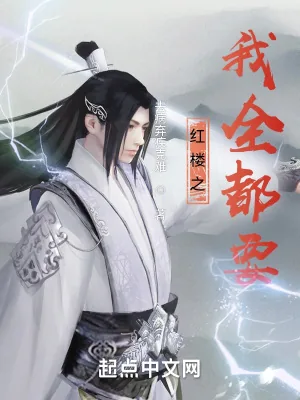 《红楼之我全都要》小说封面
