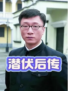 《潜伏后传》小说封面
