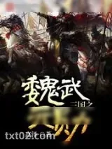 《三国之魏武元勋》小说封面