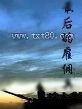 《最后的雇佣兵》小说封面