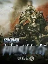 《抗战之神风传奇》小说封面