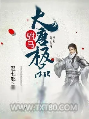 《大唐极品驸马》小说封面