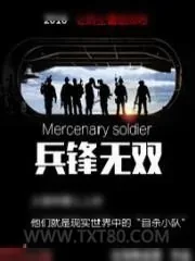 《兵锋无双》小说封面