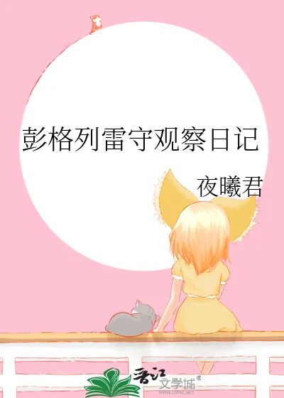 《彭格列雷守观察日记》小说封面
