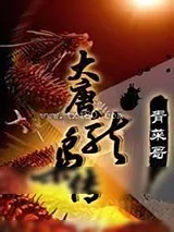 《大唐枭龙传》小说封面