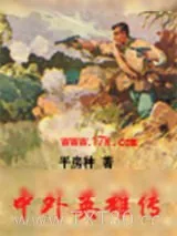 《中外英雄传》小说封面
