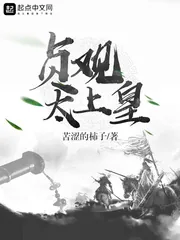 《贞观太上皇》小说封面