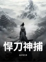 《悍刀神捕》小说封面