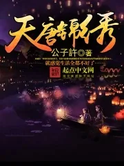 《天唐锦绣》小说封面