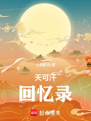 《天可汗回忆录》小说封面