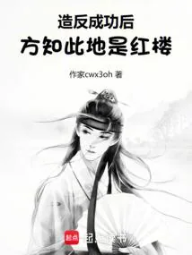 《造反成功后,方知此地是红楼》小说封面