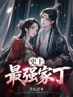 《史上最强家丁》小说封面