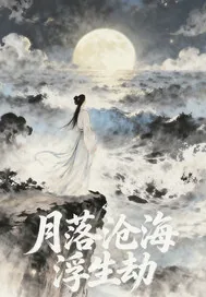 《月落沧海浮生劫》小说封面