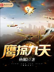 《鹰掠九天》小说封面
