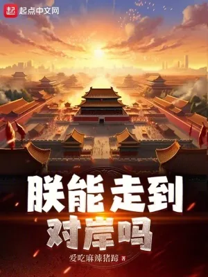 《朕能走到对岸吗》小说封面