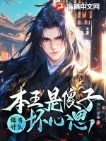 《本王是傻子,能有什么坏心思》小说封面