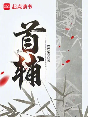 《首辅》小说封面