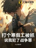 《打个寒假工被抓,说我犯了战争罪?》小说封面