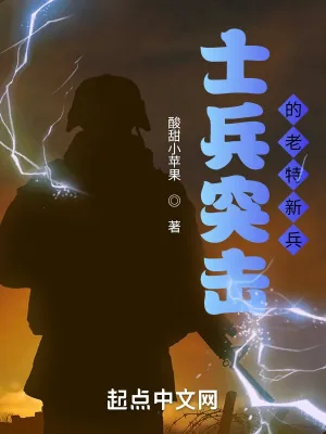 《士兵突击之老特新兵》小说封面