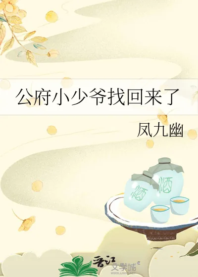 《公府小少爷找回来了》小说封面