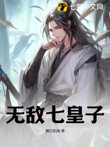 《无敌七皇子》小说封面