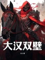 《大汉双壁》小说封面