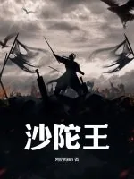 《沙陀王》小说封面
