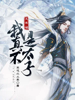 《大宋：嘘，我真不是太子》小说封面