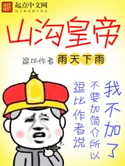 《山沟皇帝》小说封面